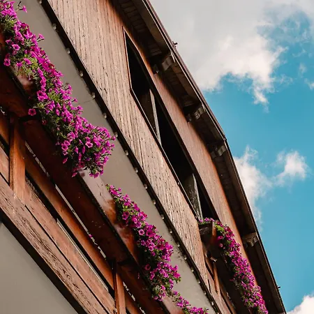 Hotel&Ristorante Baita Dovich Malga Ciapela